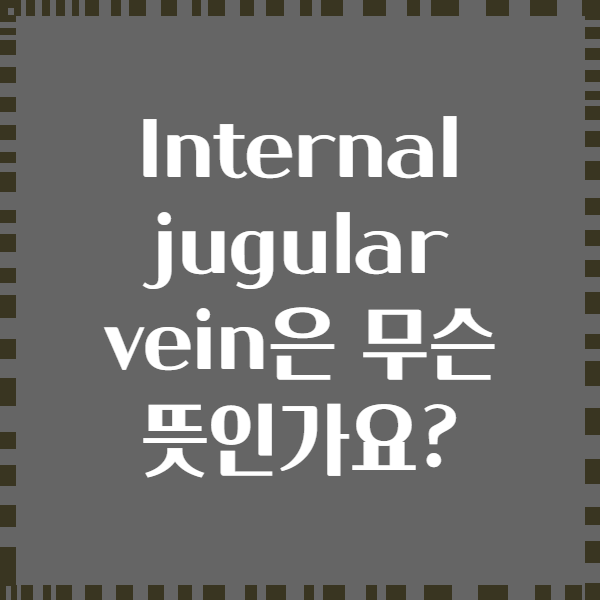 Internal jugular vein은 무슨 뜻인가요?