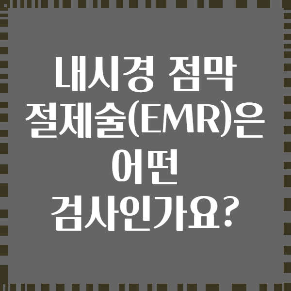 내시경 점막 절제술(EMR)은 어떤 검사인가요?