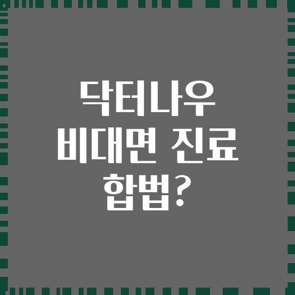 닥터나우 비대면 진료 합법?