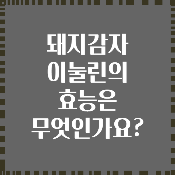 돼지감자 이눌린의 효능은 무엇인가요?