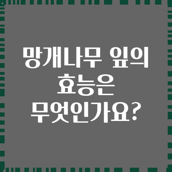 망개나무 잎의 효능은 무엇인가요?