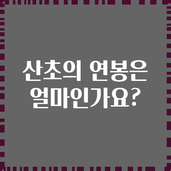 산초의 연봉은 얼마인가요?