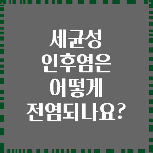 세균성 인후염은 어떻게 전염되나요?