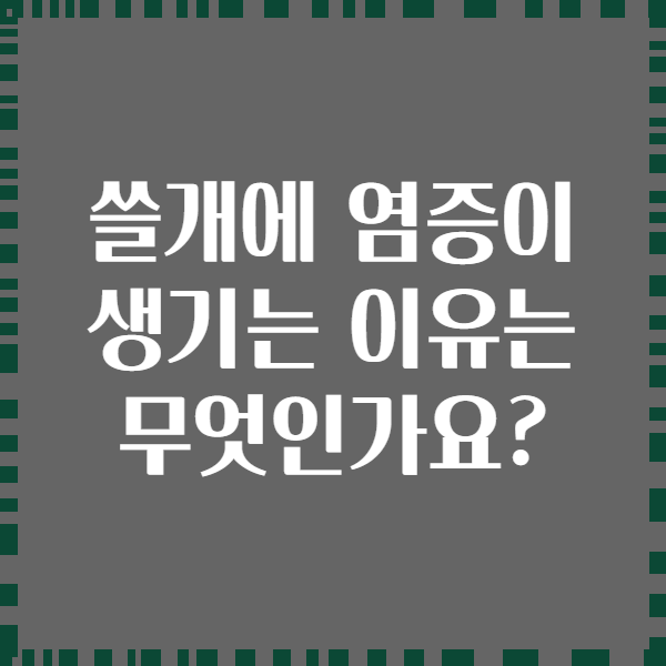 쓸개에 염증이 생기는 이유는 무엇인가요?