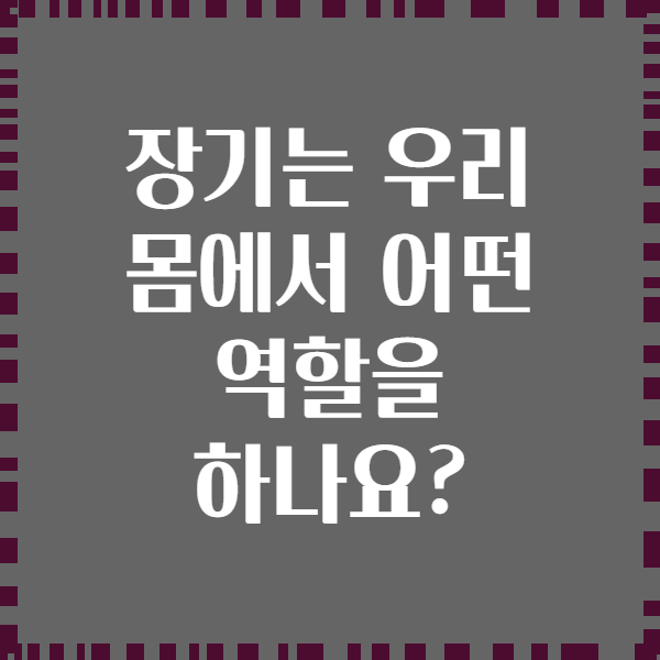 장기는 우리 몸에서 어떤 역할을 하나요?