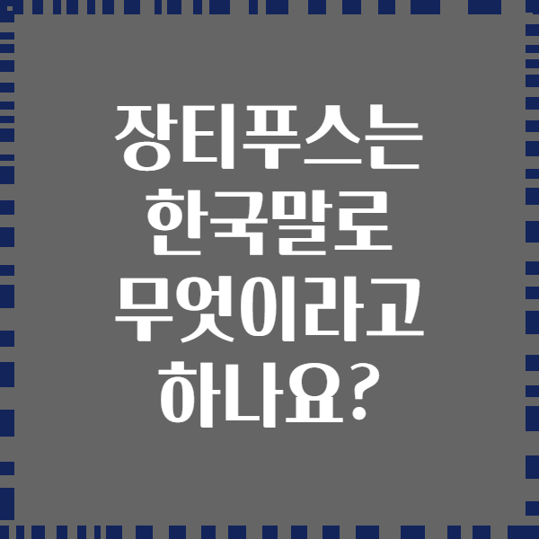장티푸스는 한국말로 무엇이라고 하나요?