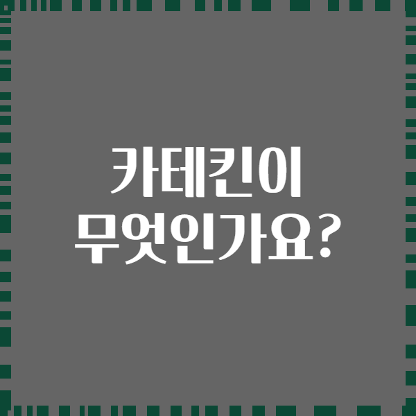카테킨이 무엇인가요?
