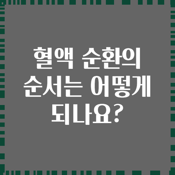 혈액 순환의 순서는 어떻게 되나요?