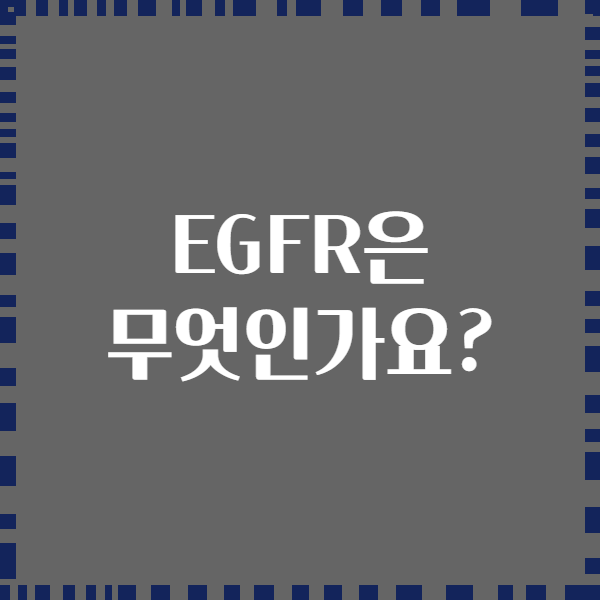 EGFR은 무엇인가요?