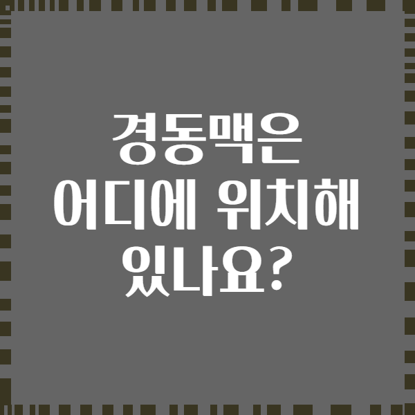 경동맥은 어디에 위치해 있나요?