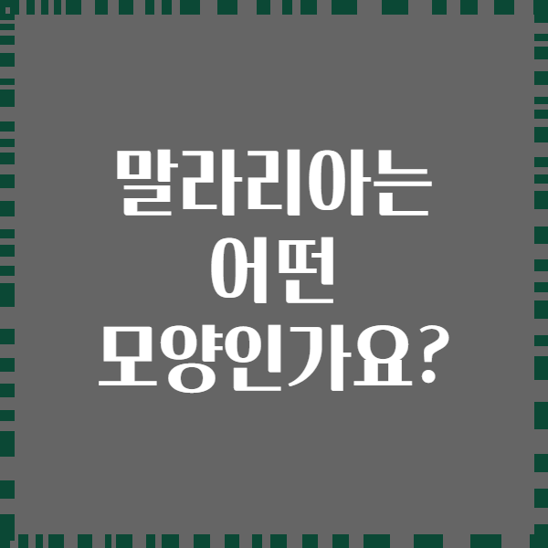 말라리아는 어떤 모양인가요?