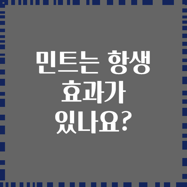 민트는 항생 효과가 있나요?