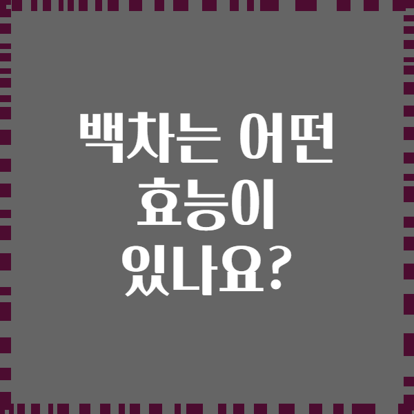 백차는 어떤 효능이 있나요?