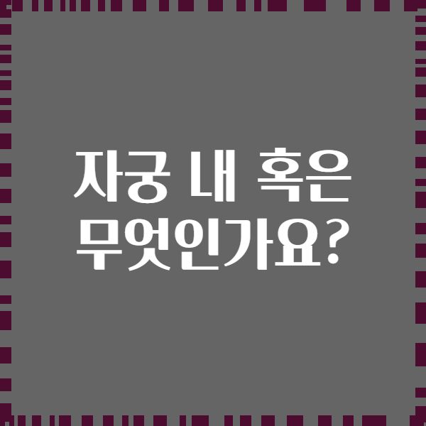 자궁 내 혹은 무엇인가요?