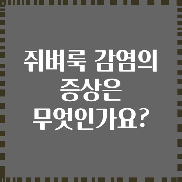 쥐벼룩 감염의 증상은 무엇인가요?