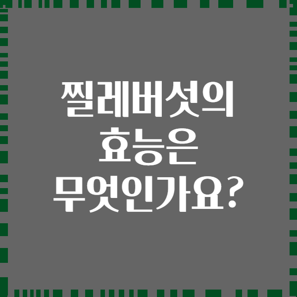 찔레버섯의 효능은 무엇인가요?