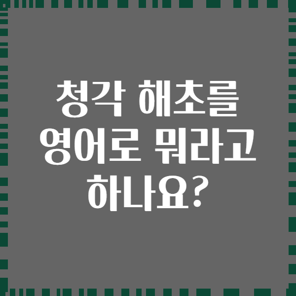 청각 해초를 영어로 뭐라고 하나요?