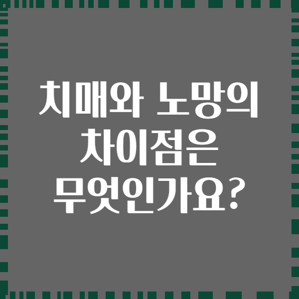 치매와 노망의 차이점은 무엇인가요?