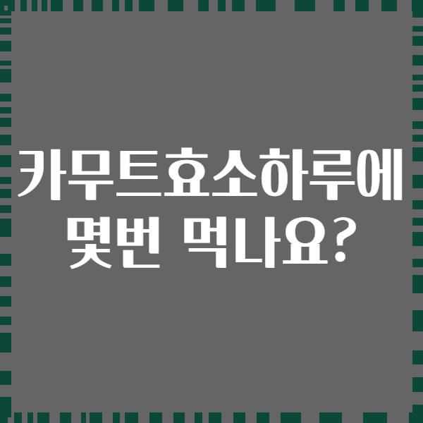 카무트효소하루에 몇번 먹나요?