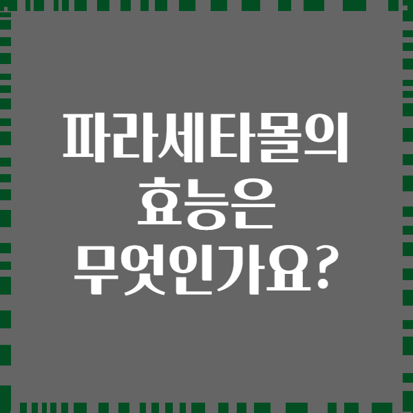 파라세타몰의 효능은 무엇인가요?