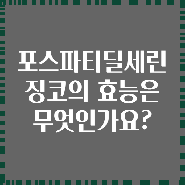 포스파티딜세린 징코의 효능은 무엇인가요?