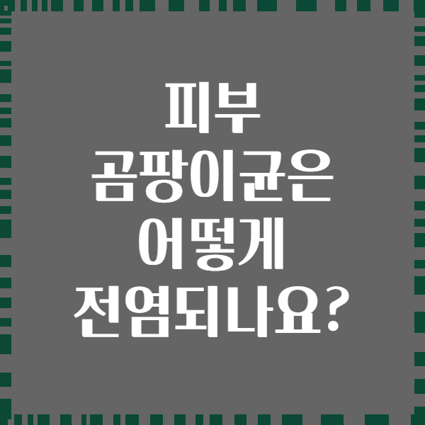 피부 곰팡이균은 어떻게 전염되나요?