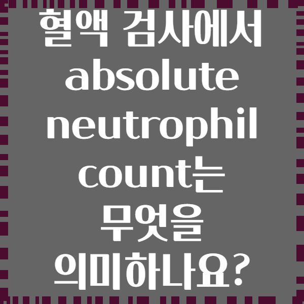 혈액 검사에서 absolute neutrophil count는 무엇을 의미하나요?