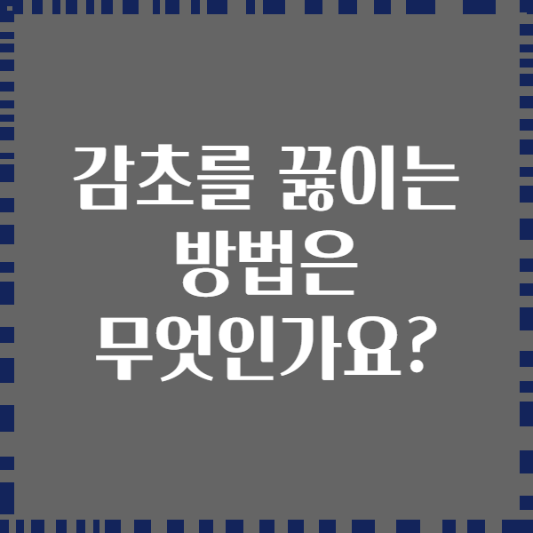 감초를 끓이는 방법은 무엇인가요?