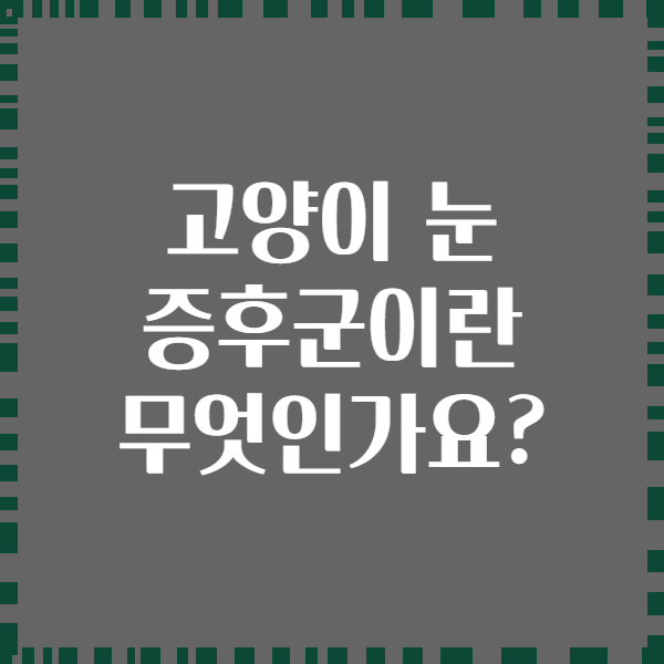 고양이 눈 증후군이란 무엇인가요?