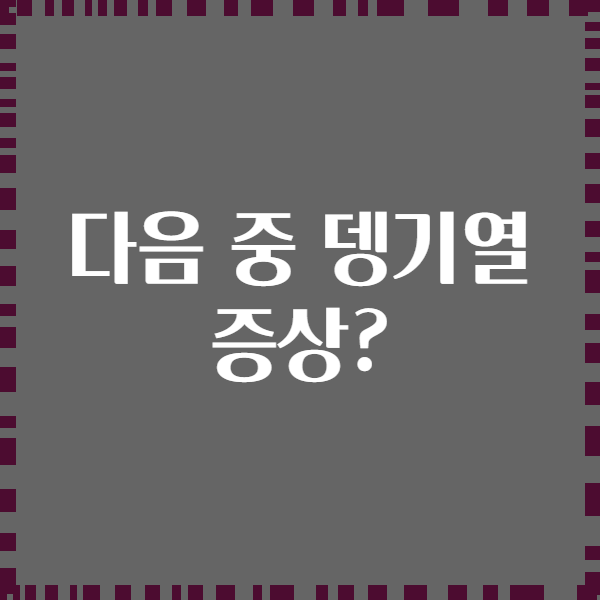 다음 중 뎅기열 증상?