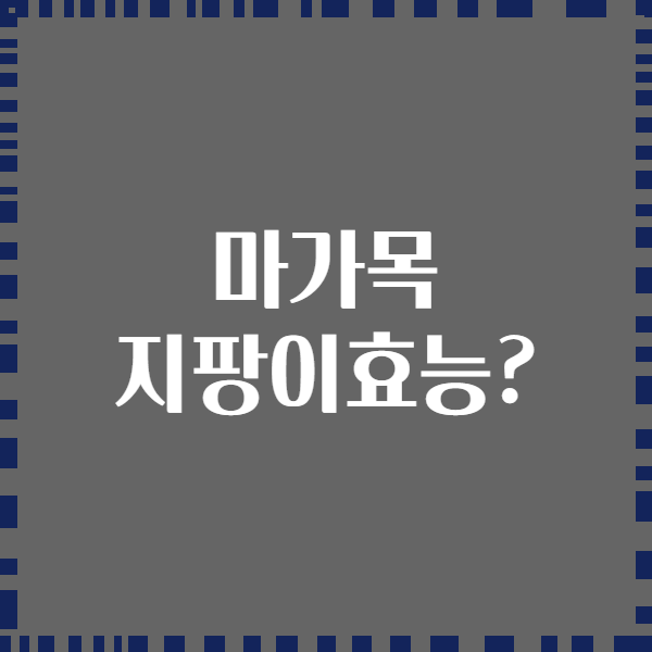 마가목 지팡이효능?