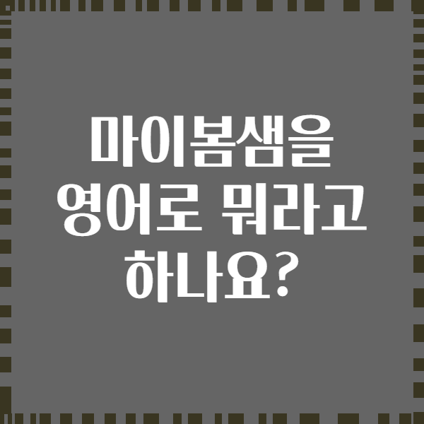 마이봄샘을 영어로 뭐라고 하나요?