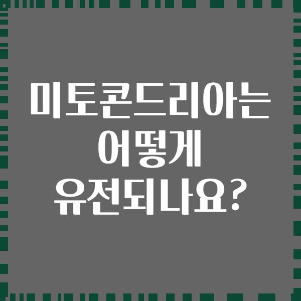 미토콘드리아는 어떻게 유전되나요?