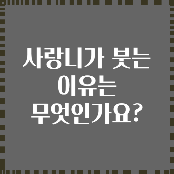 사랑니가 붓는 이유는 무엇인가요?