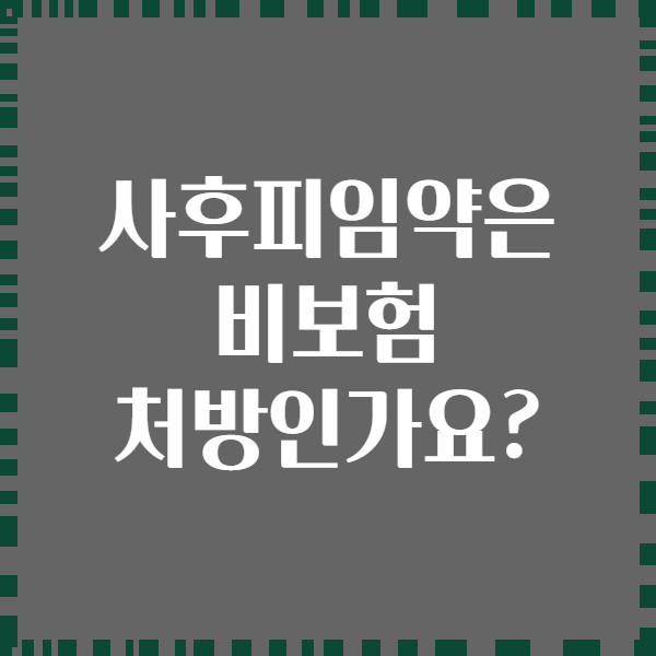 사후피임약은 비보험 처방인가요?