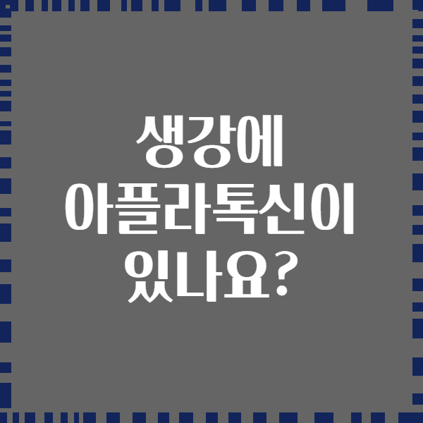 생강에 아플라톡신이 있나요?