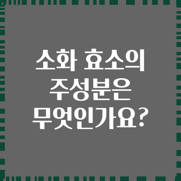 소화 효소의 주성분은 무엇인가요?