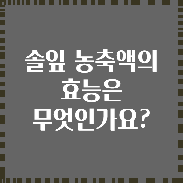 솔잎 농축액의 효능은 무엇인가요?