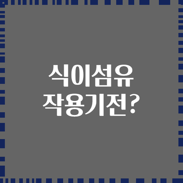식이섬유 작용기전?