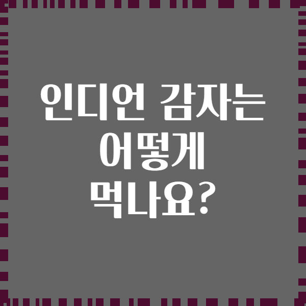인디언 감자는 어떻게 먹나요?