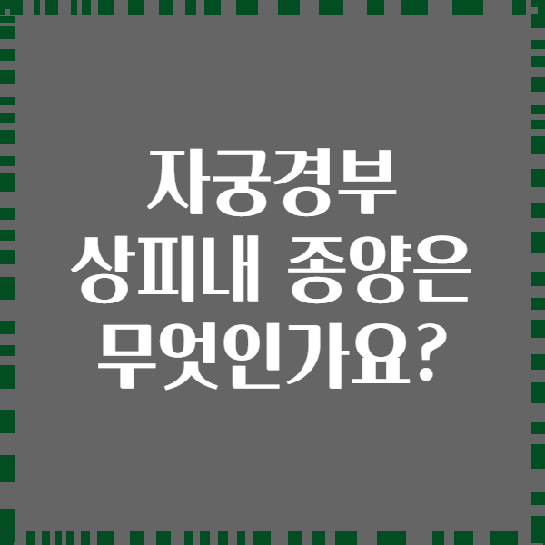자궁경부 상피내 종양은 무엇인가요?