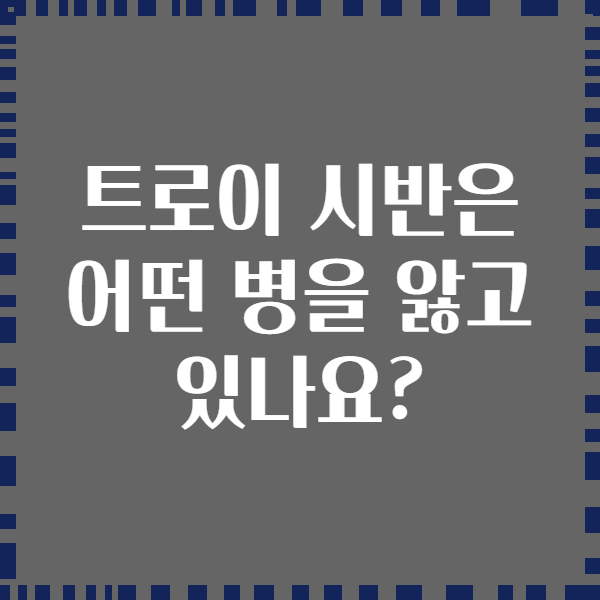 트로이 시반은 어떤 병을 앓고 있나요?