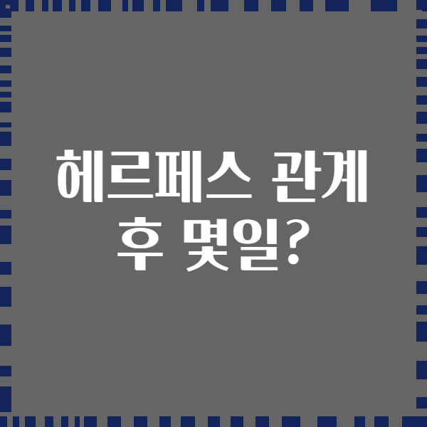 헤르페스 관계 후 몇일?