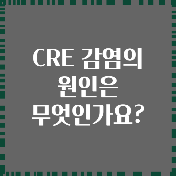 CRE 감염의 원인은 무엇인가요?