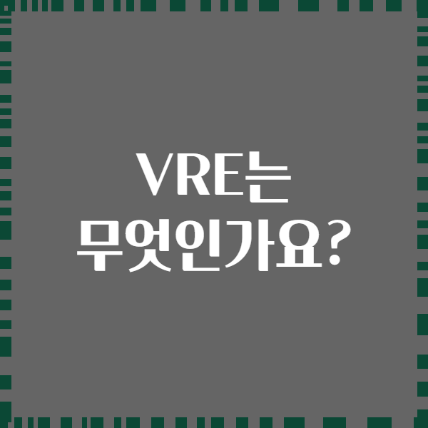 VRE는 무엇인가요?