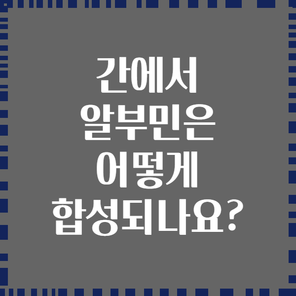 간에서 알부민은 어떻게 합성되나요?