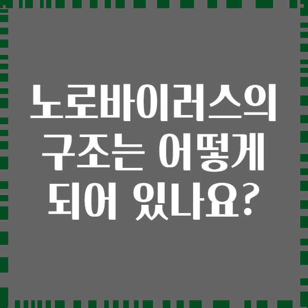 노로바이러스의 구조는 어떻게 되어 있나요?