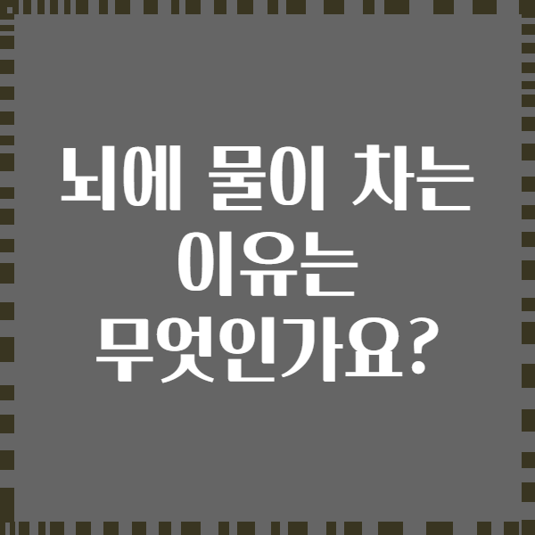 뇌에 물이 차는 이유는 무엇인가요?