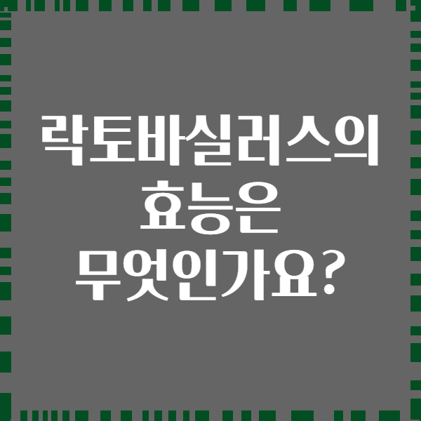 락토바실러스의 효능은 무엇인가요?