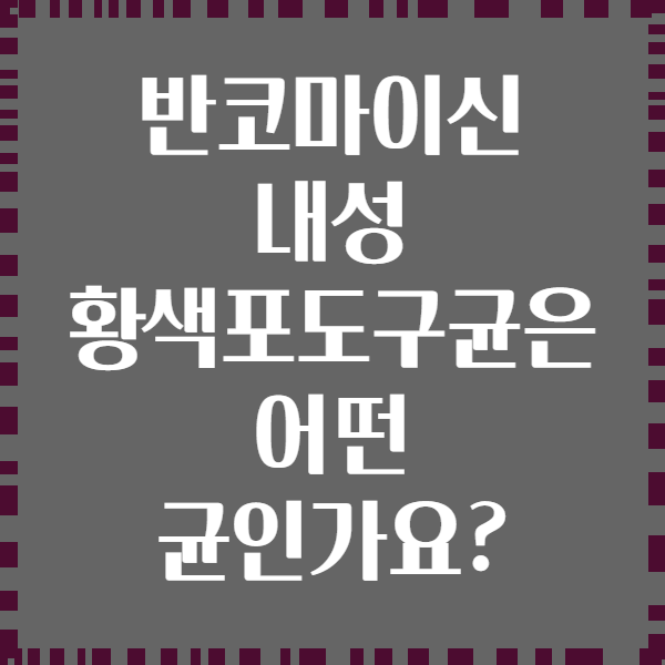 반코마이신 내성 황색포도구균은 어떤 균인가요?